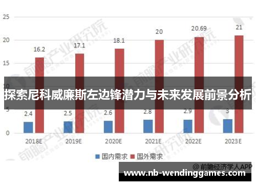 探索尼科威廉斯左边锋潜力与未来发展前景分析