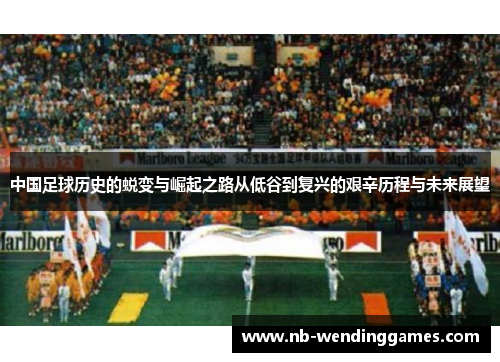 中国足球历史的蜕变与崛起之路从低谷到复兴的艰辛历程与未来展望