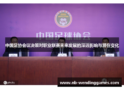 中国足协会议决策对职业联赛未来发展的深远影响与潜在变化