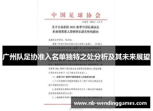 广州队足协准入名单独特之处分析及其未来展望