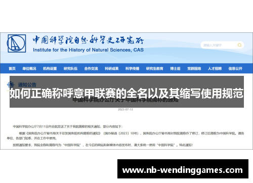 如何正确称呼意甲联赛的全名以及其缩写使用规范