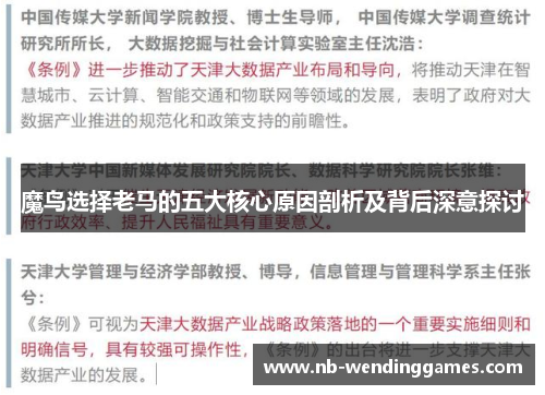 魔鸟选择老马的五大核心原因剖析及背后深意探讨