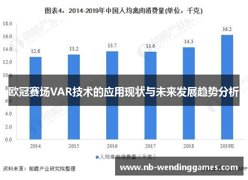 欧冠赛场VAR技术的应用现状与未来发展趋势分析