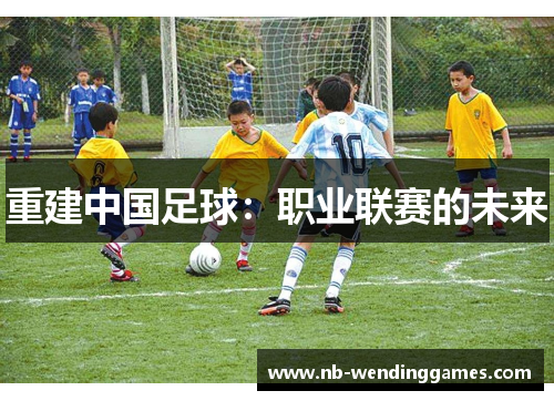 重建中国足球：职业联赛的未来